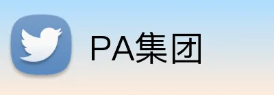 PA集团 Logo
